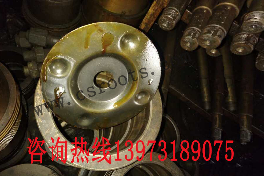 ARG350*丨ARG400*丨ARG445*丨ARG450*丨ARG500*罗茨风机 前甩油盘